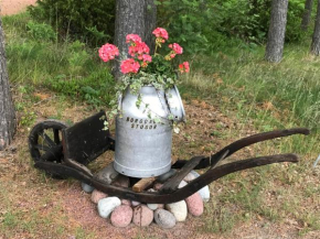 Borgdala Stugor in Ödkarby